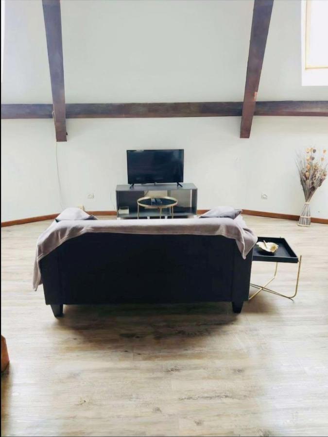 Superbe appartement cocooning proche des thermes Vittel Extérieur photo